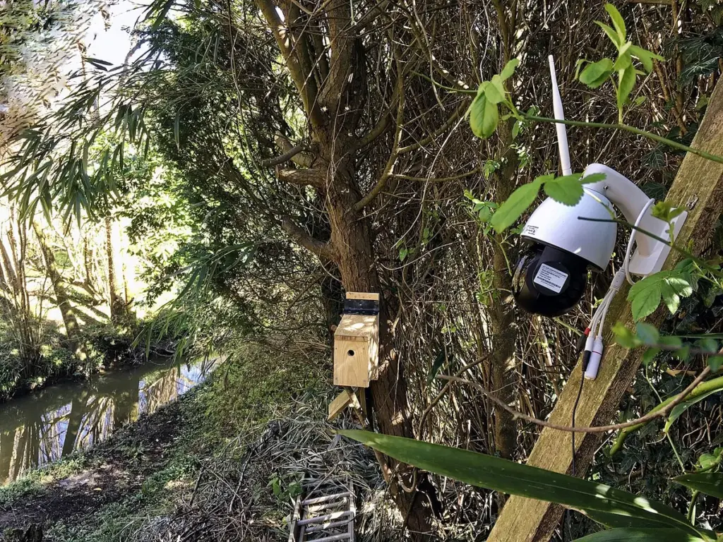 Câmera de segurança sem fio presa a uma estaca de madeira em um quintal arborizado