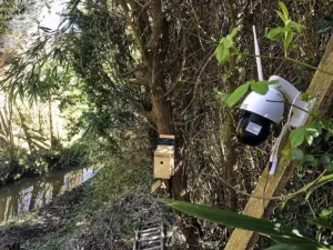 Câmera de segurança sem fio presa a uma estaca de madeira em um quintal arborizado