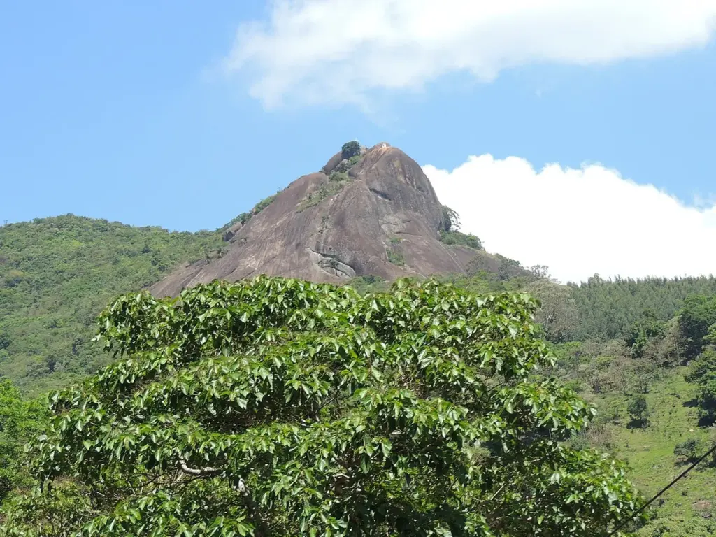 Pico do Lopo, na Serra da Mantiqueira, em Extrema, visto por trás da vegetação