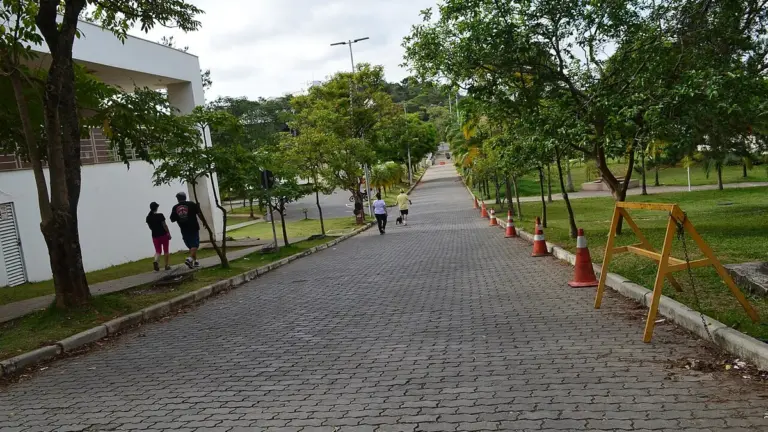 Caminho arborizado entre prédios do campus da UFJF